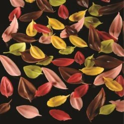 FLYCHOC FOGLIA LARGA CH3 Spatola Per Decorazioni In Cioccolato 6x4,4cm Pavoni -Peroni Kitchen Negozio flychoc foglia larga ch3 spatola per decorazioni in cioccolato 6x44cm pavoni 2