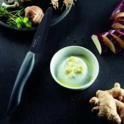 Grattugia In Ceramica Per Zenzero E Spezie Ø9cm Kyocera -Peroni Kitchen Negozio pelapatate con lama rotante in ceramica 4cm kyocera 2