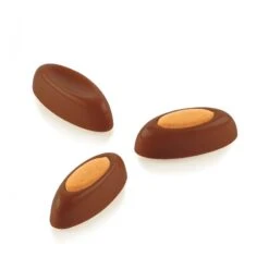 SOGNO P CH042 Stampo In Tritan Pralina Di Cioccolato 24 Impronte 4,6x2cm H1,4cm Silikomart
