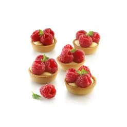 AIRPLUS 16 ROUND 40x30 Stampo In Silicone Microforato 20 Impronte Ø5cm H1,6cm Silikomart