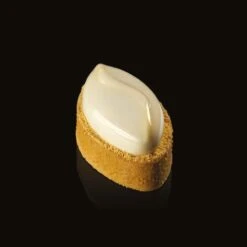 TOP SHELL PX3201 Stampo In Silicone 9 Impronte 8,6x4,1cm H2,2cm 43ml Pavoflex Pavoni