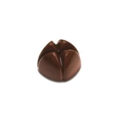 BONBONS PC65 Stampo In Policarbonato Pralina Di Cioccolato 21 Impronte 2,8x2,8cm H1,8cm Pavoni