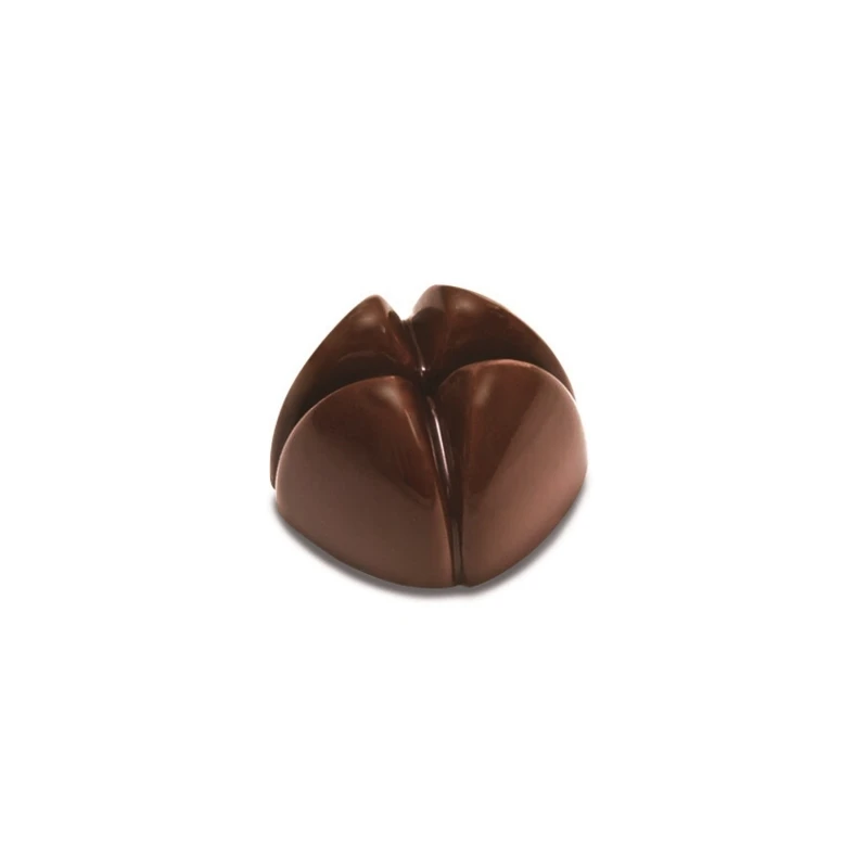 BONBONS PC65 Stampo In Policarbonato Pralina Di Cioccolato 21 Impronte 2,8x2,8cm H1,8cm Pavoni 1 BONBONS PC65 Stampo In Policarbonato Pralina Di Cioccolato 21 Impronte 2,8x2,8cm H1,8cm Pavoni