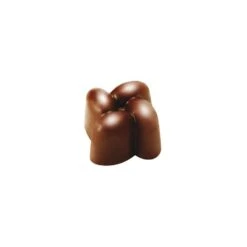 INNOVATION PC12 Stampo In Policarbonato Pralina Di Cioccolato 21 Impronte 3x3cm H1,8cm Pavoni