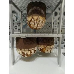 Teglia Girapanettoni, Colombe E Lievitati 40x30cm Quadri -Peroni Kitchen Negozio teglia girapanettoni e lievitati smart 2