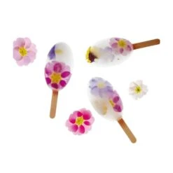 WAIKIKI POCKET PL08 Stampo Gelato In Silicone 4 Impronte 4x7cm + 50 Stecchi Pavogel Pavoni -Peroni Kitchen Negozio waikiki pocket pl08 stampo gelato in silicone 4 impronte 50 stecchi pavogel pavoni 2