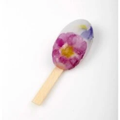 WAIKIKI POCKET PL08 Stampo Gelato In Silicone 4 Impronte 4x7cm + 50 Stecchi Pavogel Pavoni